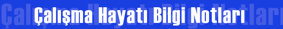 Çalışma Hayatı Bilgi Notları