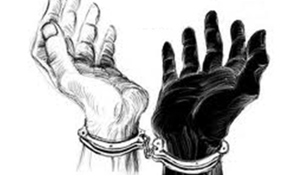 İnsan Hakları İhlalleri Raporları